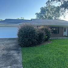 Revitalize-Your-Landscape-with-Professional-Bush-Trimming-Niceville-FL 0